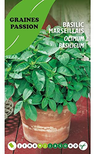 Graines Passion sachet de graines Basilic Marseillais