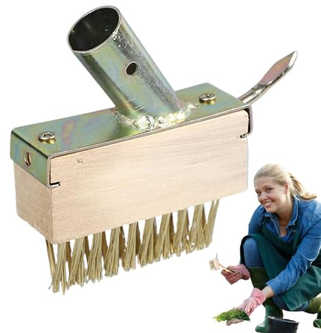 Tuxxjzm Strumento di rimozione del muschio per ciottoli, spazzola per ciottoli, spazzola per filo per rimuovere muschio di ingresso, strumento manuale per diserbo crepe, rimozione della malta,