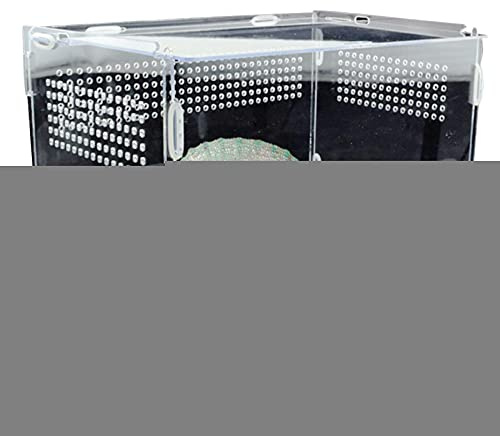 Bexdug Reptile Breeding Box, Acrylic Feeding Box for Frog Cricket Turtle, Transparente Zuchtbecken, mit Kleinen Luftlöchern Für Insekten Spinnen Eidechsen Schildkröten Raupen