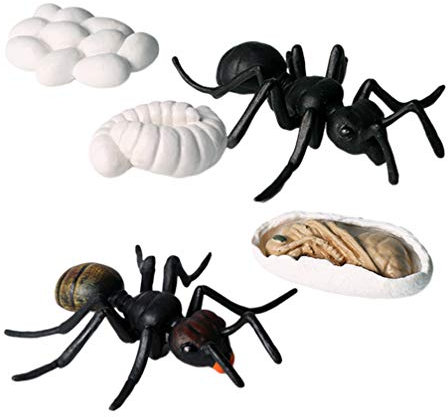 Ameise Wachstum Lebenszyklus Ameise Figur Spielzeug Streich Lustige Neuheit Gefälschte Spielzeug Event Party Liefert Pädagogische Modell Halloween