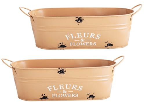 Abaodam 2stücke Metall Blumentopf Eisen Pflanzblumentopf Sukkulententopf Gartenbedarf Blumeneimer Für Blumen Und Pflanzen Dekoration Innen Und Außen