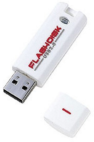 Sanwa Supply UFD-RW256M2W USB 2.0 USB Flash Disk