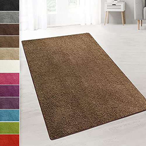 casa pura Teppich Wohnzimmer Hellbraun Flauschiger Teppich 80x250cm Läufer, weicher Wohnteppich Deko für Schlafzimmer, Kinderzimmer, Flur mit antirutsch Unterseite, Shaggy Hochfloor Barcelona