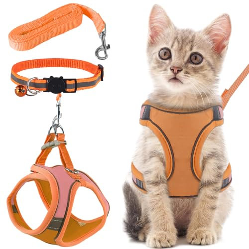 FIHODONE Katzengeschirr mit Katzenleine Katzenhalsband,Katzengeschirr mit Leine Ausbruchsicher,Cat Harness Verstellbar,Katzenleine mit Geschirr für Katzen Orange mit Reflexstreifen (M, Orange)