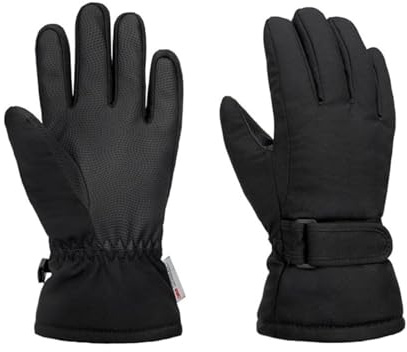 TT ThreadTrade Ski Waterproof Gloves, Winter Gloves for Men and Women, Waterproof Winter Gloves, Thermal Gloves, Touchscreen Snow Ski Gloves (Women)