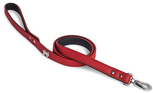 Petface Hundhalsband med benmönster