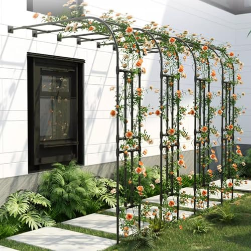 Junvstor Arche Demi-Face pour Treillis de Jardin Mural – Arche de Jardin en Fer pour Plantes grimpantes en extérieur – Fleurs, légumes, Roses, Treillis décoratif(W220xH240CM(7.2x7.9ft))