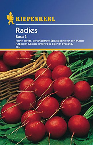 Sperli Gemüsesamen Radieschen Saxa 3, grün