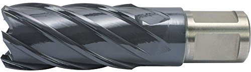 Alfra 0007613270271 - Broca sacanúcleos