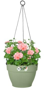 Elho Vibia Campana Hanging Basket 26 - Macetero por Exterior - Ø 26.0 x H 18.4 cm - Verde/Pistache Green
