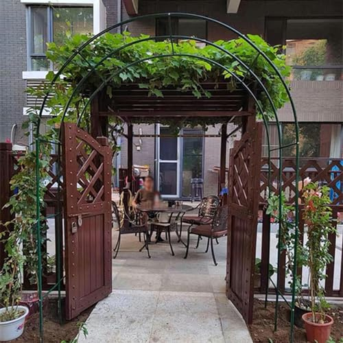 Arco Roses pour plantes grimpantes Arches métalliques résistantes à l'arche de jardin Pavillons Mélèze 80-350 cm pour mariage, fête, jardin (couleur : vert, taille : 80 x 200 cm/2,6 x 6,6 pieds)