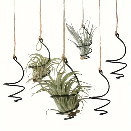 6-teiliges Set zum Aufhängen von Luftpflanzenhaltern, Luftpflanzenaufhänger mit Juteseilen, erdloser Luftpflanzenständer, Tillandsia, Sukkulenten-Präsentationsbehälter für Zuhause, Büro, Dekoration