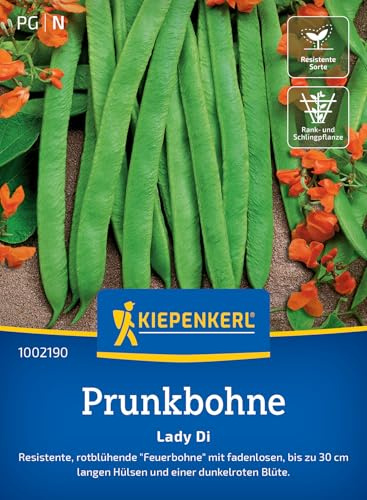 Kiepenkerl Prunkbohnensamen Lady Di 1002190, Gemüsesaat | Gemüsesamen für eine resistente 'Feuerbohne' mit bis zu 30 cm langen Hülsen, Inhalt für 8-10 Stangen