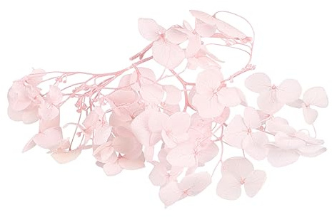 Warmhm Fiori Secchi Naturali Ortensia Essiccati Eternali Decorazioni Da Te Secco Fiore Per Party Art