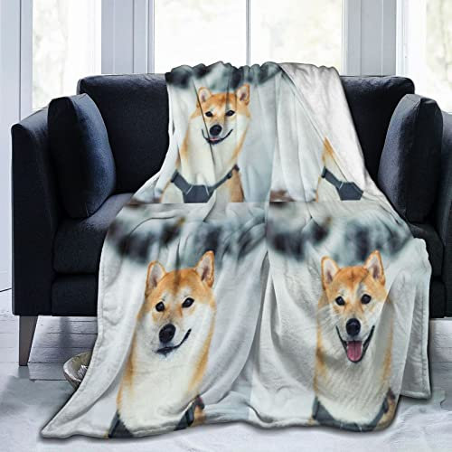 Boceoey Kuscheldecke 200x200 cm Shiba Inu Flauschige Wohndecke als Sofa überwurfdecke Tagesdecke, Decken für Sofa Couch Bett, Weiche Warme Fleecedecke für Camping Outdoor