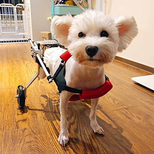 Generisch Zusammenklappbarer Hundewagen/Rollstuhl, Rollstühle für behinderte Hunde, Laufräder für Tiere zur Unterstützung der Hinterbeine, Hundegeführtes Laufauto – Einfache Montage (Größe: XS LW)