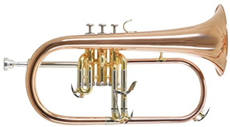 Roy Benson Bb-Flügelhorn FH-302G (mit 11mm MS Bohrung, Goldmessing Schallstück, Edelstahl Ventilen, inkl. leichtem Rechtecketui, mit Rucksackfunktion, Größe: 6), lackiert