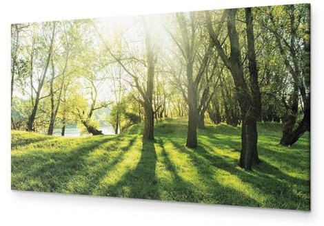 B&D XXL - Wandbilder XXL Landschaft 150x50 cm 1 tlg - Leinwandbilder Wohnzimmer großes BIld auf Leinwand Schlafzimmer Kunstdrucke Wandbild Panoramabild - Natur Bäume Wald Sonnenstrahlen c-B-0053-b-a