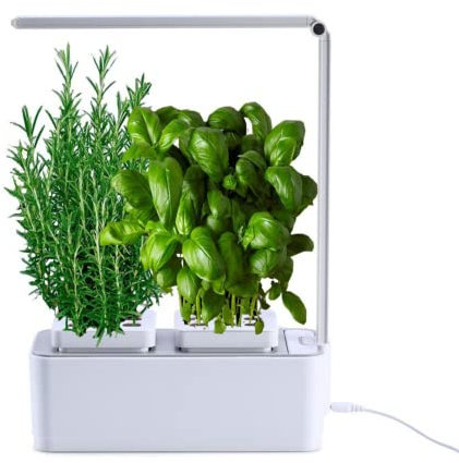 amzWOW Clizia Smart Garden - serra idroponica per piante, vaso intelligente, grow box - Orto da interno 100% Bio - Coltiva le erbe aromatiche- timer automatico, luce Led inclusa (Bianco)