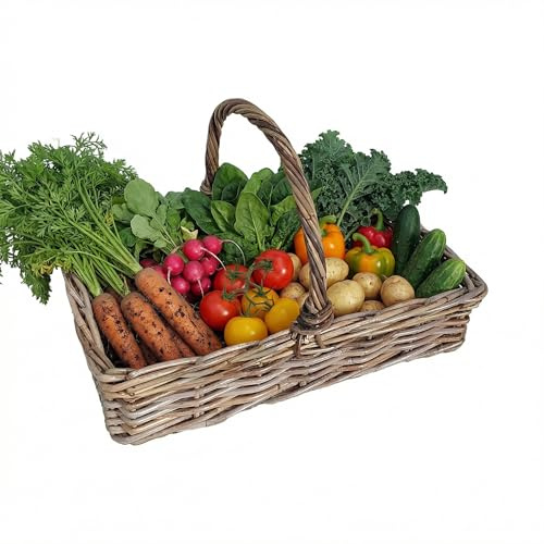 Wicker Fruit Basket Veg Trug Rectangular Gardening Allotment Trugs for Garden Countertop Fruit Vegetable Egg Basket Storage with Carrying Handle Spring Gardening Gift (Large)