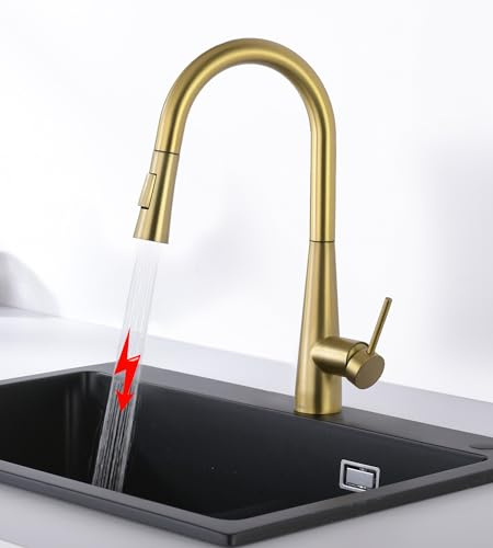 Tohlar Niederdruck Armatur Küche Gold, Küchearmatur mit Ausziehbare Brause, Niederdruck Wasserhahn Küche 360° Drehbar Küchenarmatur aus Edelstahl Moderner Niederdruck Spültischbatterie