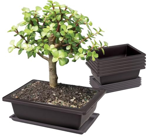 PRITOK 6 stycken bonsai träningsskålar: 23 x 17 x 8 cm bonsai träningskrukor med bricka, bonsaiskål plast djup blomkruka rektangulär planteringskruka för trädgårdar innergårdar kontor vardagsrum