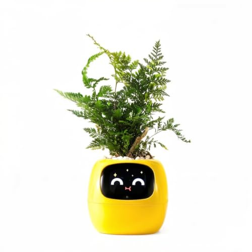 PLANTSIO Ivy - Maceta inteligente para decoración del hogar, plantas compañeras, maceta inteligente para mascotas, robot, escritorio, guía de regalo sobre el cuidado de las plantas con emojis y amigos