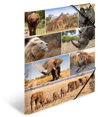HERMA Sammelmappe A3 Löwe, Kinder Eckspanner-Mappe aus Pappe mit Afrika Tier Motiv, Gummizug, Innenklappen und Innendruck für Jungen und Mädchen