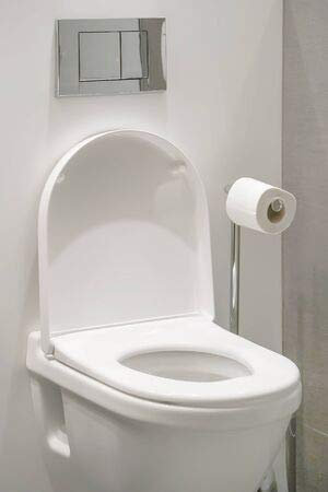 Holz-Bild 30 x 50 cm: Toilet Paper roll in Restroom in Home. Closeup of Toilet Bowl and roll on Toilet Paper Holder in Luxury Hotel., Bild auf Holz