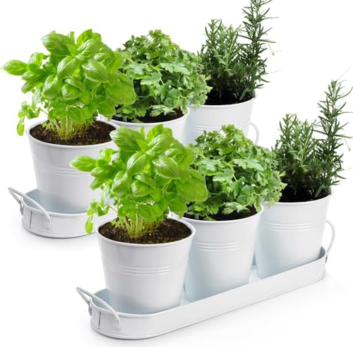 BSTMOME 2 Sets of 3x Herb Pot Planter Holders with Tray, Decorative Metal Flower Pot Succulent Pots Windowsill Planter Pots for Kitchen Grow Indoor Garden Outdoor Use (White)