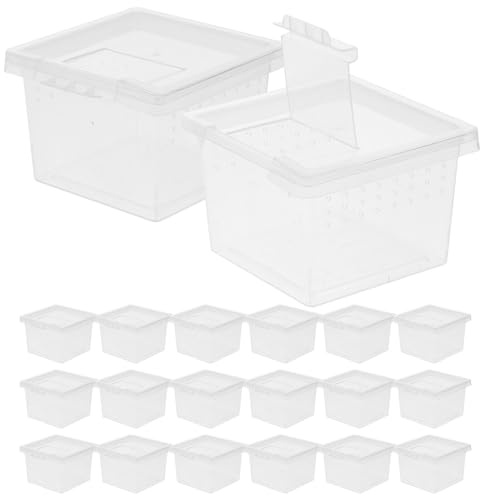 Abaodam 20stücke Insektenbeobachtungsbox für Terrarium Praktisches Gehege für Insekten und Spinnen Transparenter Brutkasten für Insektenzucht Klein und Leicht für Indoor und Outdoor