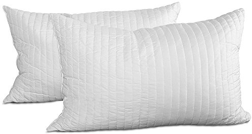 EVERGREENWEB - Pack de 2 Almohadas para Cama 30x50 cm con Copos 100% Viscoelásticos, Hipoalergénicas, Antiácaros y Suave, Altura 15 cm, Rectangular, Forro Blanco - Almohadas para Hogar, 2 Unidades
