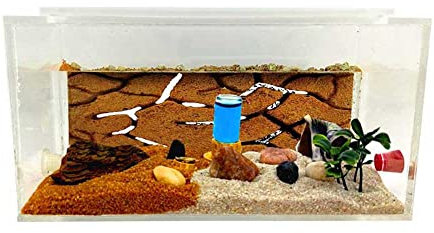 ANTHILLSHOP Ant Farm - Natürliche Ameisenfarm aus Sand - Acryl 1 Set Big 20x10x10 cm | Free Ameisen enthalten