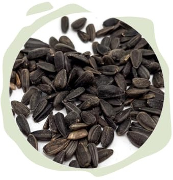 Warnick's Vogelfutter Sonnenblumenkerne schwarz - 10 Liter | Ganzjähriges Wildvogelfutter - Energiereich & beliebt bei vielen Vogelarten - Naturbelassen, Herkunft Deutschland