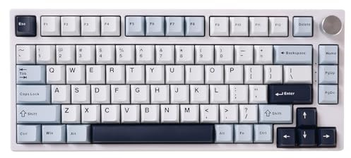GK GAMAKAY TK75 HE Hall Effekt Tastatur Rapid Trigger Magnetschalter Mechanische Tastatur, Bluetooth/2.4GHz/Wired RGB PBT Tastenkappen Hot-Swap-fähig Gaming Tastatur (Weiß, Phoenix Switch)