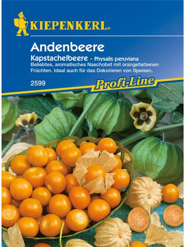 Sperli Gemüsesamen Andenbeere Kapstachelbeere, grün