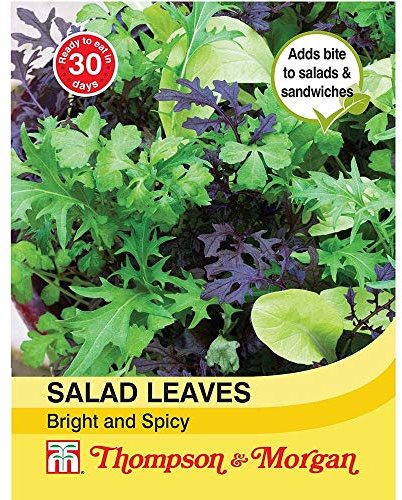 Thompson & Morgan - Vegetables - Salad Leaves - Bright and Spicy - 750 Seed