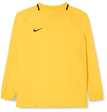 NIKE Herr Park Iii fotbollströja