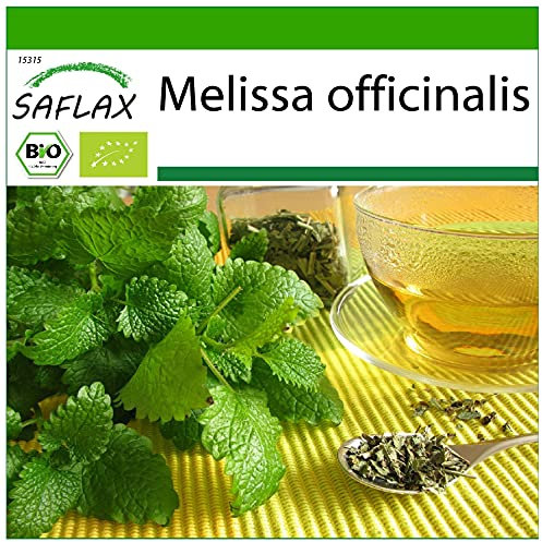SAFLAX - Organic - Lemon Balm - 1000 Seeds - Melissa officinalis