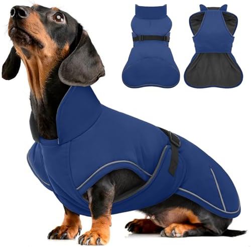 Hjyokuso Dackelmantel, wasserdichte Winter-Hundejacke mit weichem, warmem Futter, Pullover-Design für Miniatur-Wursthunde bei kaltem Wetter, Spaziergängen, Schnee, Outdoor-Abenteuern - Blau XL