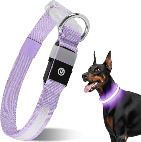 CAWJUG Dog Light up Collar, Rechargeable LED Dog Collar with 3 Glowing Modes, Adjustable Flashing Dog Collar for Small Medium Large Dogs(Purple, M)
