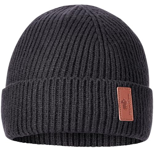 BISON DENIM Herren Strickmütze Beanie Mütze Warme Fleece Laufmütze Winddichte Wintermütze Unisex-Mütze