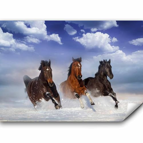 murando - Fototapete Vlies Pferde, 350x256 cm, Schlafzimmer, Wohnzimmer | Full HD Druck, 3D-Effekt, lichtbeständige Farben, ideal fürs Wohn- oder Schlafzimmer, schnelle Montage, lichtbeständig, edel