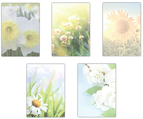 5 x 5 Blatt im Set Briefpapier Mix DIN A4 Blumen Blüten (MPA-5233) Narzissen Wiese mit Klee Sonnenblume Margeriten Aprikosenblüten Motivpapier