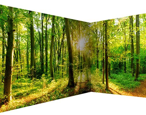 murando - Photo Wallpaper Island 550x250 cm / 216 x 98 - Non-Woven Premium Corner Art Print Fleece Wall Mural Decoration Poster Picture - Nature Green Tree Panorama Landscape Sunlight b-B-0383-a-a