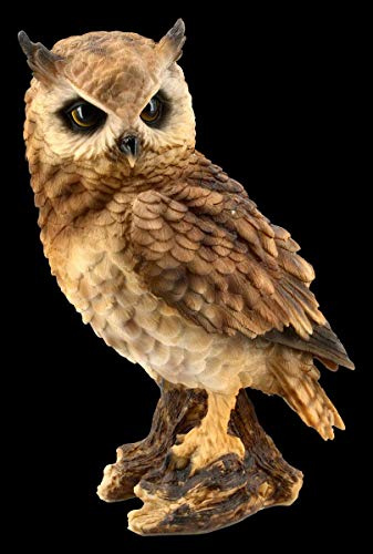 Figuren Shop GmbH Eulen Tier-Figur - Waldohreule groß | Vogel-Figur, Deko-Figur, Deko-Artikel, Statue, Skulptur, H 26 cm
