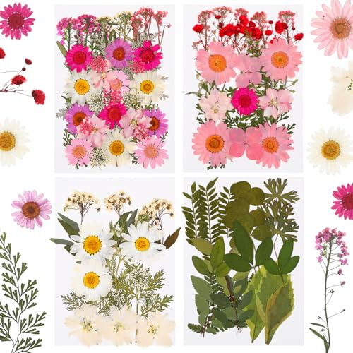 4 Sets Gepresste Blumen und Blätter, Natürliche Trockenblumen zum Basteln Getrocknete Blüten, Getrocknete Blumen Basteln für DIY Harz Schmuck Kerzen Kunsthandwerk Anhänger Handyhülle Scrapbooking