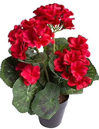 Botanic-Haus künstliche Geranie (Geranienbusch) mit 5 Blütenköpfen im schwarzen Kunststofftopf (rot)