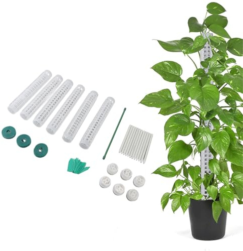 6 Postes de Plástico para Musgo para Monstera, Plantas Trepadoras Pequeñas y Medianas, Soporte Apilable para Plantas, Condiciones Ideales de Crecimiento, Fácil Montaje,