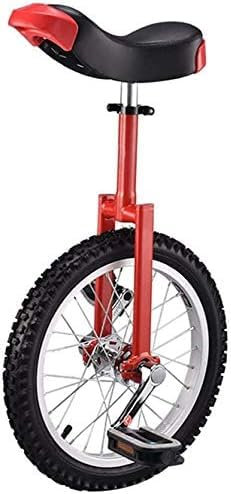 XNXYSMKJ Verstellbares Fahrrad 16 18 20 24 Rollentrainer 2.125 Skidproof Reifen Cycle Balance Verwendung für Anfänger Kinder Erwachsene Übung Spaß Fitness (16inch)